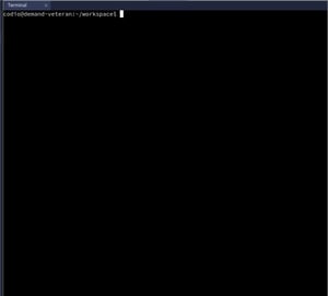 Kernel Programming and File System Exploration in Codio