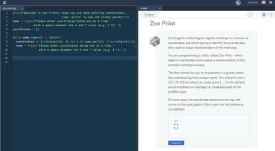 Preview of a parameterized assessment in Codio