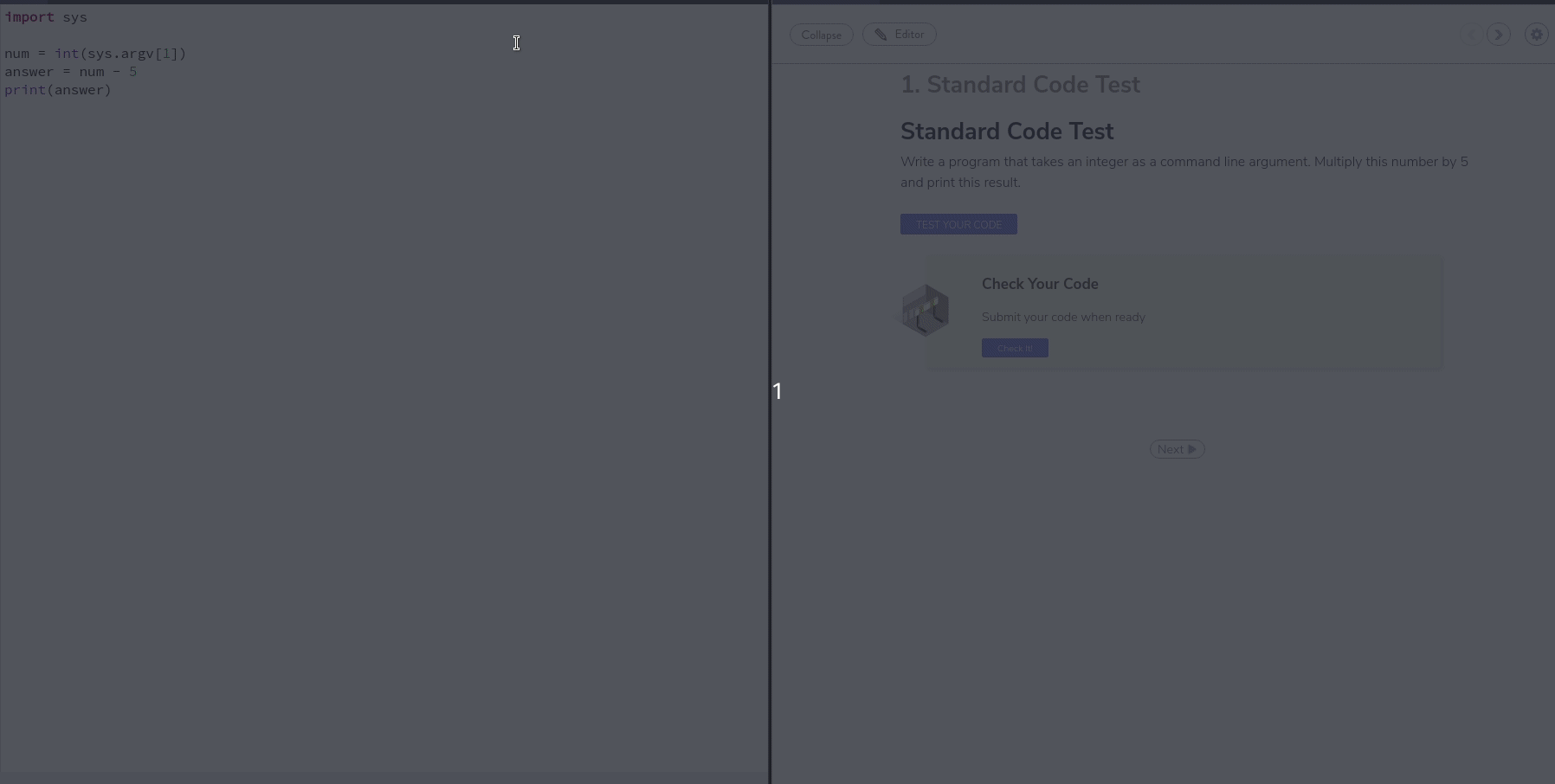 Automatic Grading for Computer Science & Programming Courses Codio
