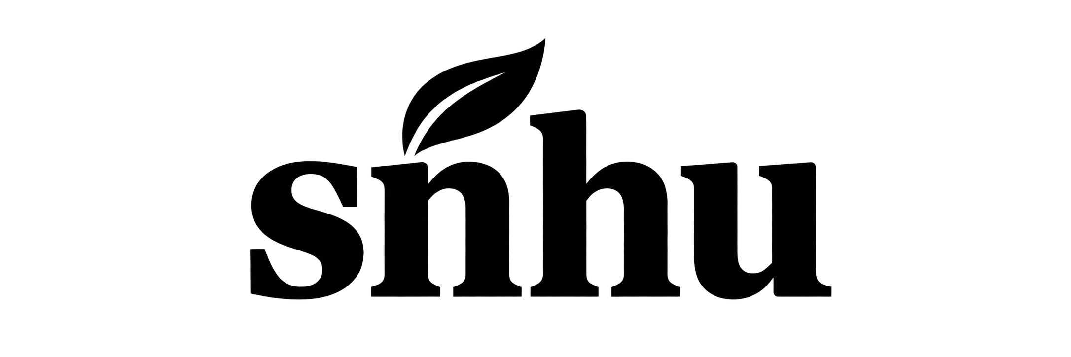 snhu-2